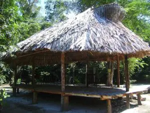 rondreis highlights Suriname - Around the World Travel