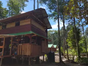 2.4 Fredberg Mainlodge Around The World Travel