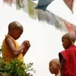 Nepal reis op maat - Around The World Travel - 5