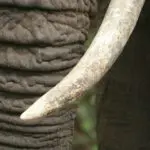 Rondreis Tanzania Around the world travel Tanzania Around The World Travel