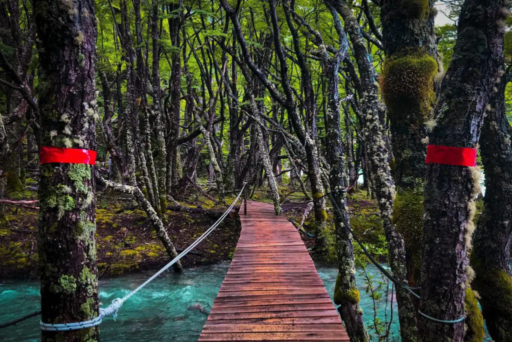 11 rondreis argentinie patagonie - around the world travel