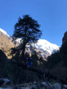 prachtig Nepal rondreis op maat