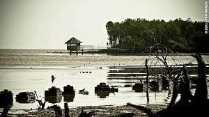 WARAPPAKREEK - rondreis suriname - around the world travel
