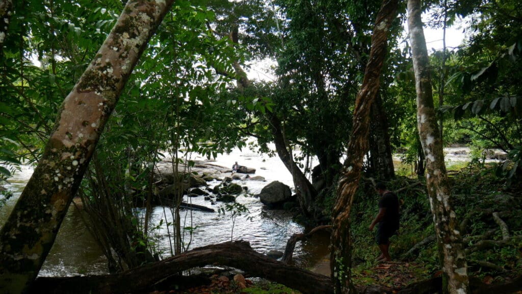 knini paati natuur around the world travel