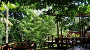 Knini Paati - Around The World Travel