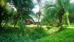 suriname rondreis - around the world travel