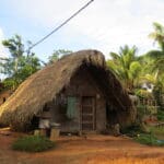 Suriname rondreis Around The World Travel