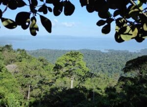 brownsberg - Suriname rondreis Around The World Travel