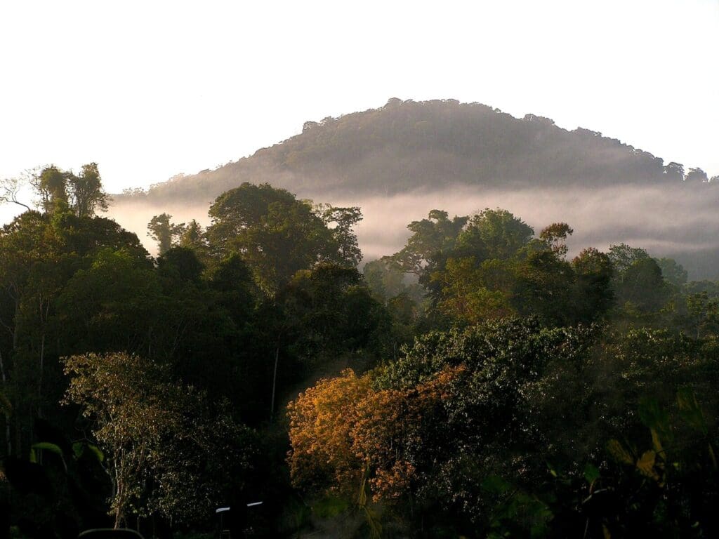 rondreis suriname - around the world travel