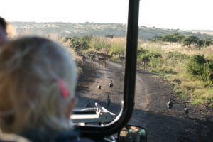 Zuid-Afrika - rondreis Around The World Travel