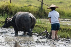 Rondreis Laos - Around The World Travel
