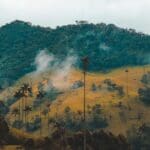 reis op maat colombia - around the world travel