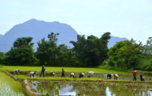 Vang Vieng - Laos - Around The World Travel
