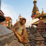 rondreis Kathmandu Nepal Around The World Travel