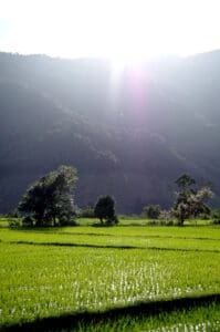 dag 1 aankomst Chiang Rai Thailand - Around The World Travel