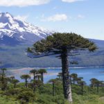 rondreis Chili - Around The World Travel