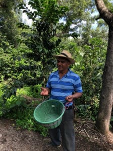 rondreis Guatemala - Around The World Travel - coffee_tour_1