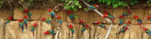 Day 11 - rondreis Peru Around The World Travel