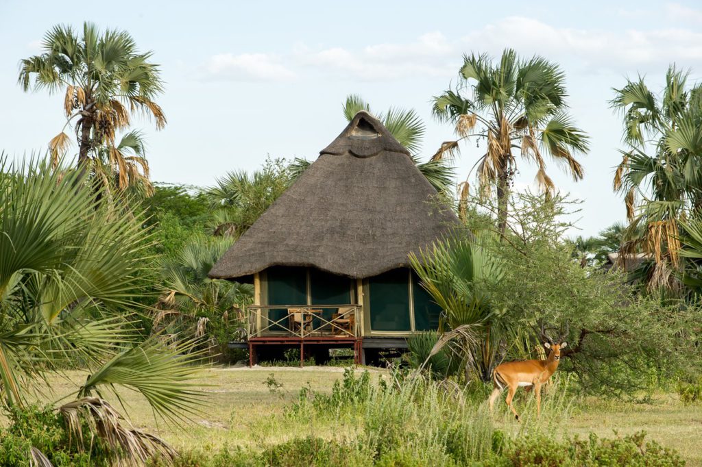 Dag 3 - Acco - Maramboi Tented Camp | rondreis Tanzania - Around The World Travel