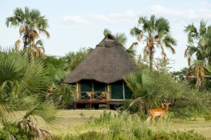 Dag 3 - Acco - Maramboi Tented Camp | rondreis Tanzania - Around The World Travel