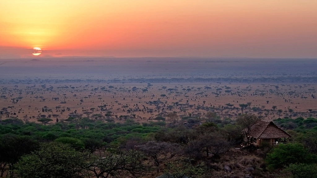 Dag 6 - Locatie - Serengeti | rondreis Tanzania - Around The World Travel