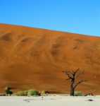 Namibie rondreis op maat Around The World Travel