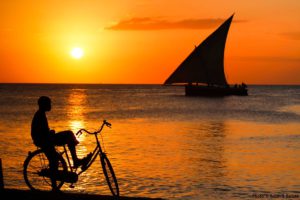 Dag 8 strand vakantie Zanzibar Sunset Cruise around the world travel
