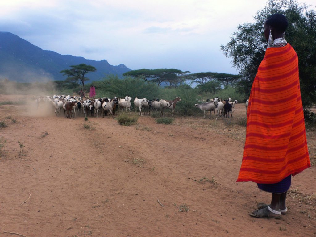 Maasai Tanzania- rondreis Around The World Travel