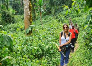 Bwindi - Gorilla Tracking | rondreis Oeganda met Around The World Travel