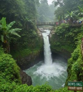 Davis Fall