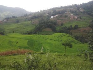 Nagarkot omgeving