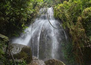 Shivapuri NP vlakbij Kathmandu in Nepal