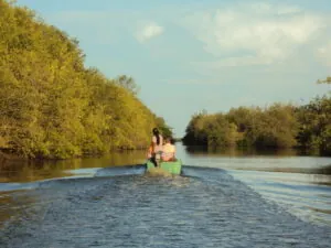 rondreis natuurlijk suriname Around The World Travel