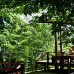 Knini Paati - around the world travel
