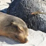 rondreis galapagos Around The World Travel